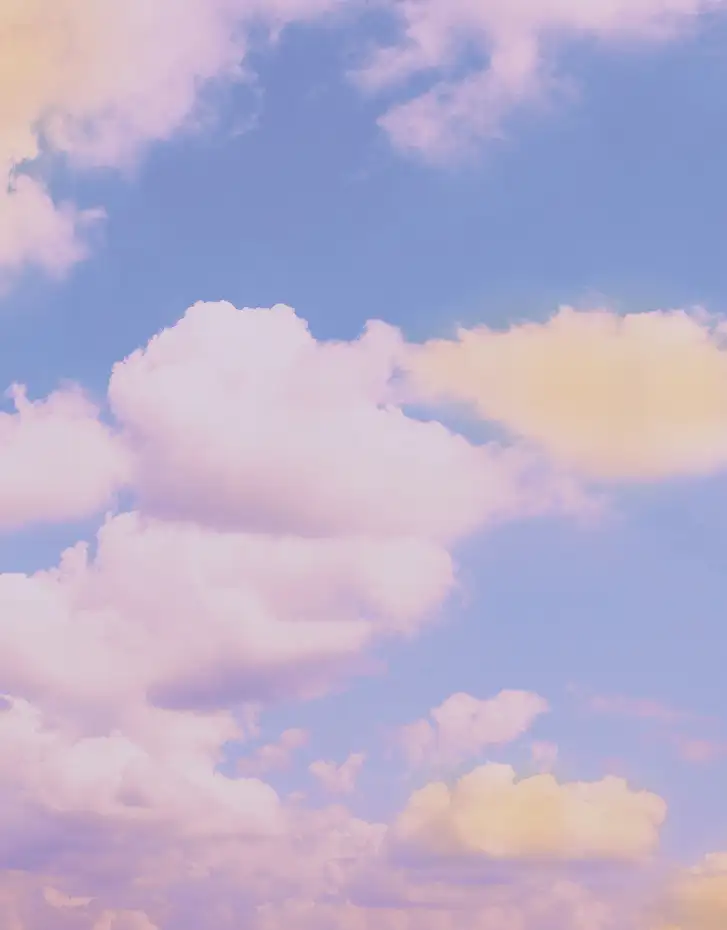 Fondo